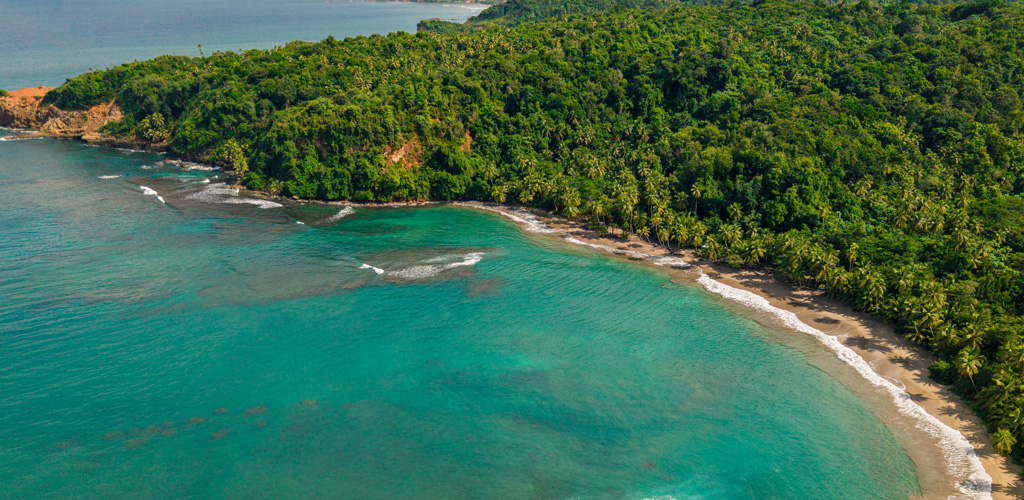 Golden Atlantic surf and forested headlands at Batibou Beach, where the dominica nature island north coast feels almost untouched.