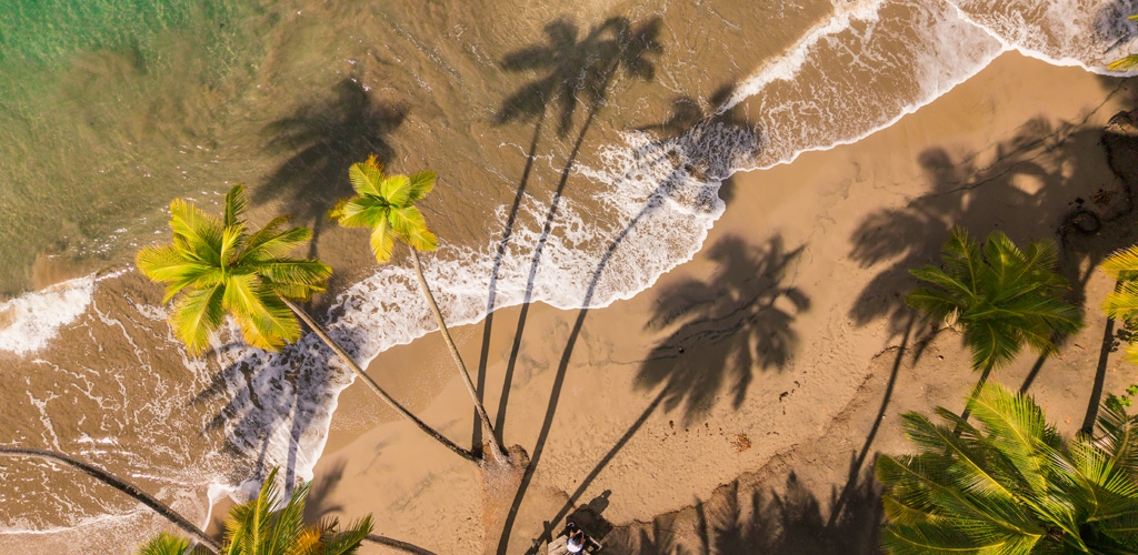 Calm Caribbean water and a palm-fringed beach on Dominica’s west coast — the dominica nature island shoreline at its most inviting.