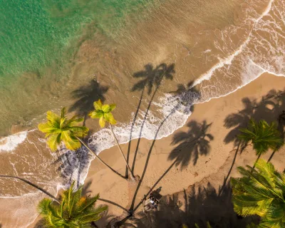 Coconut palms leaning over Batibou’s shoreline with forested hills behind, dominica best beach views without crowds, Dominica.