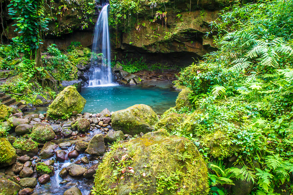 The Emerald Pool waterfall tumbling into a fern-lined green plunge pool in rainforest, emerald pool dominica’s easy family-friendly swim spot.