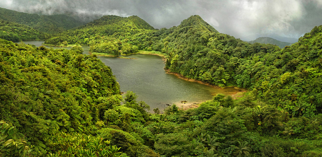 Calm Freshwater Lake ringed by highland rainforest, freshwater lake dominica’s largest crater lake inside Morne Trois Pitons volcanic highlands, Dominica.