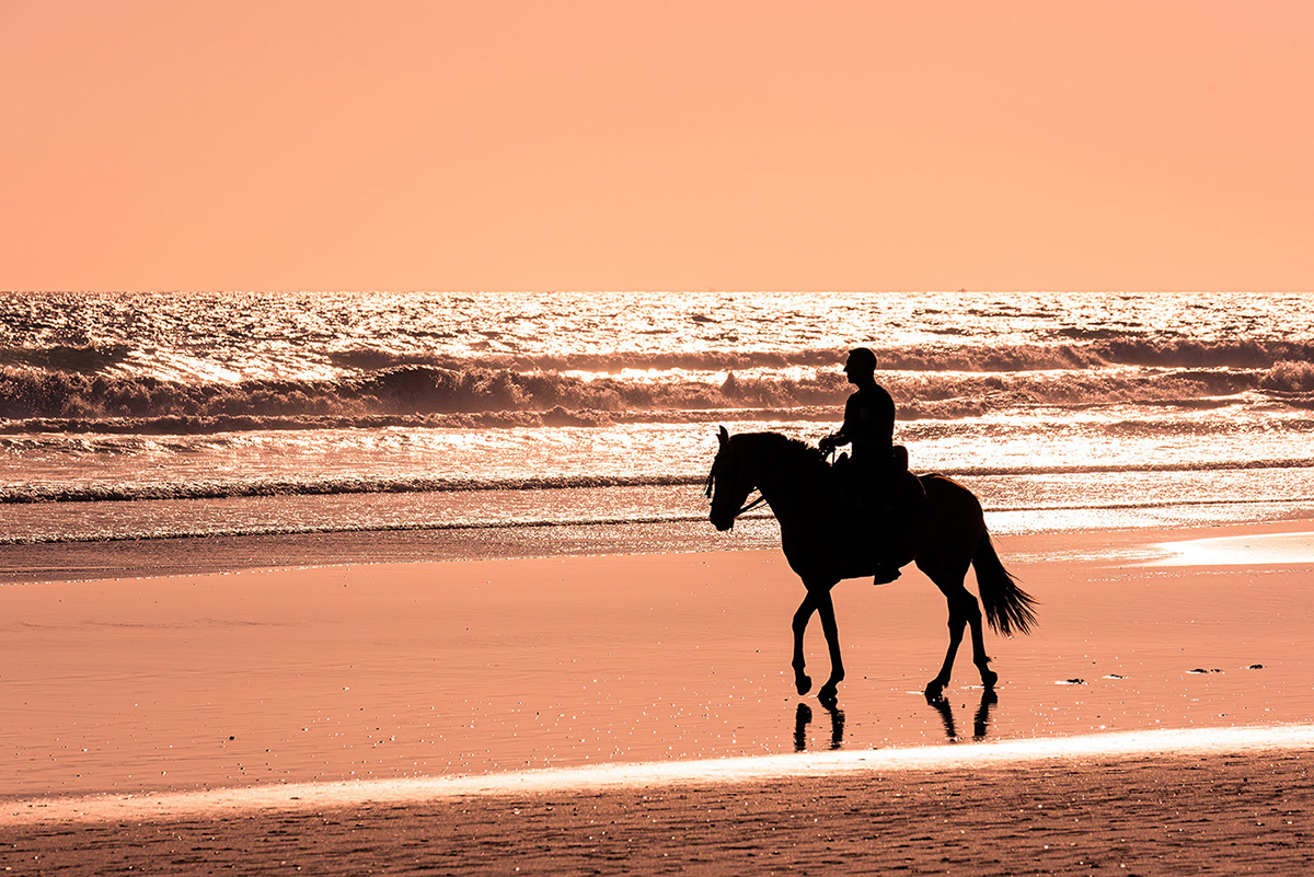 Riders on horseback along a dark-sand beach at golden hour, horse riding dominica beach rides pairing Atlantic surf with gentle rainforest-backed trails.