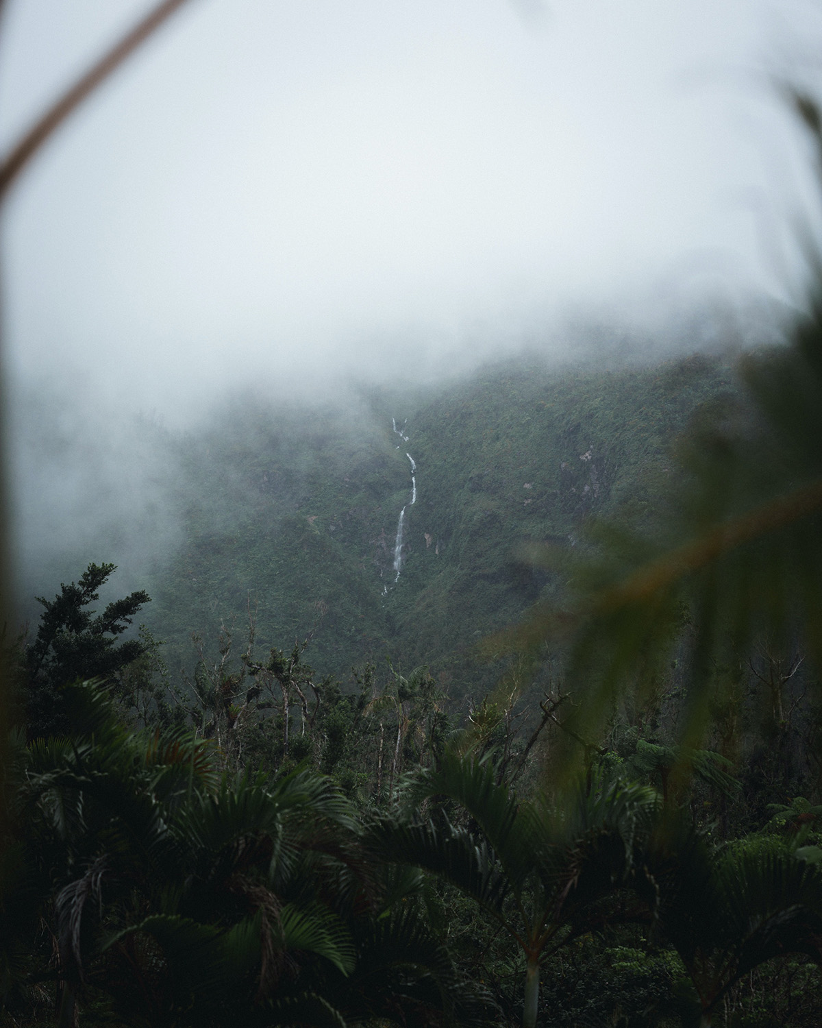 Cloud-wreathed peaks of Morne Trois Pitons above dense rainforest ridges — heart of the morne trois pitons national park UNESCO World Heritage landscape.