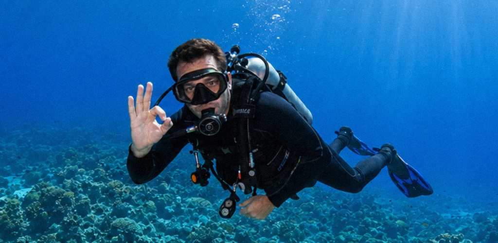 Diver along a sheer volcanic wall on the Scotts Head drop-off, scuba diving dominica’s signature wall dive where Caribbean currents meet dramatic topography.