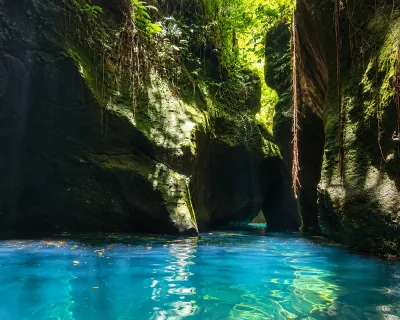 Vertical basalt columns rising from dark water in Titou Gorge, basalt gorge dominica textures lit by narrow sky overhead, Dominica.