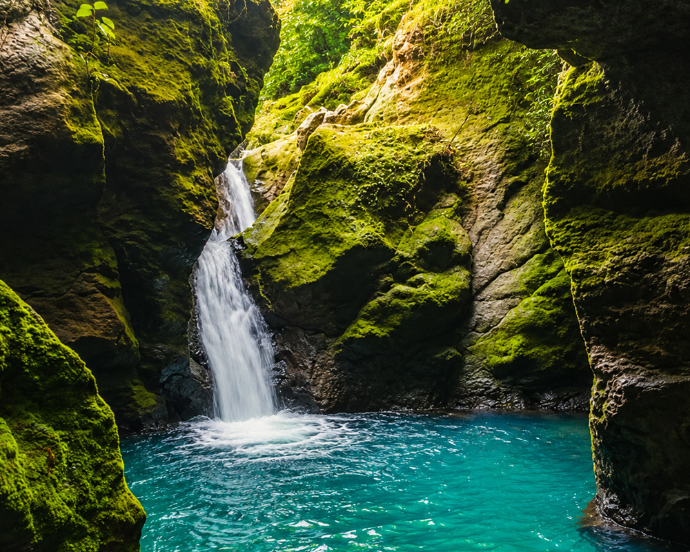 Swimmers in emerald water between sheer basalt walls of Titou Gorge, titou gorge dominica’s famous slot canyon swim below Trafalgar village, Dominica.