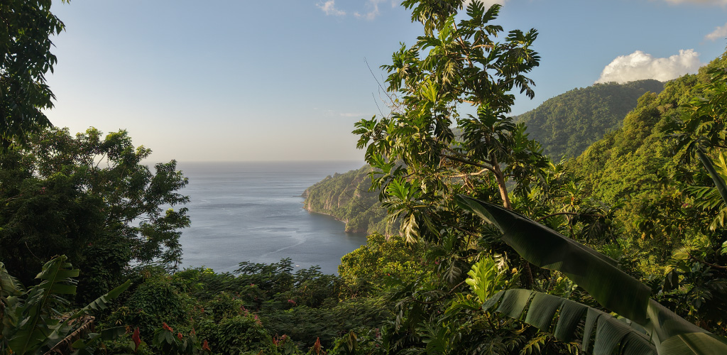 Ridge-top hikers on Segment 1 of the Waitukubuli National Trail above the south coast, hiking in dominica at long-distance scale across 14 official segments.